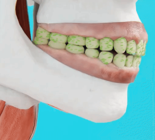 Larineco gum preventing cavity and tooth decay